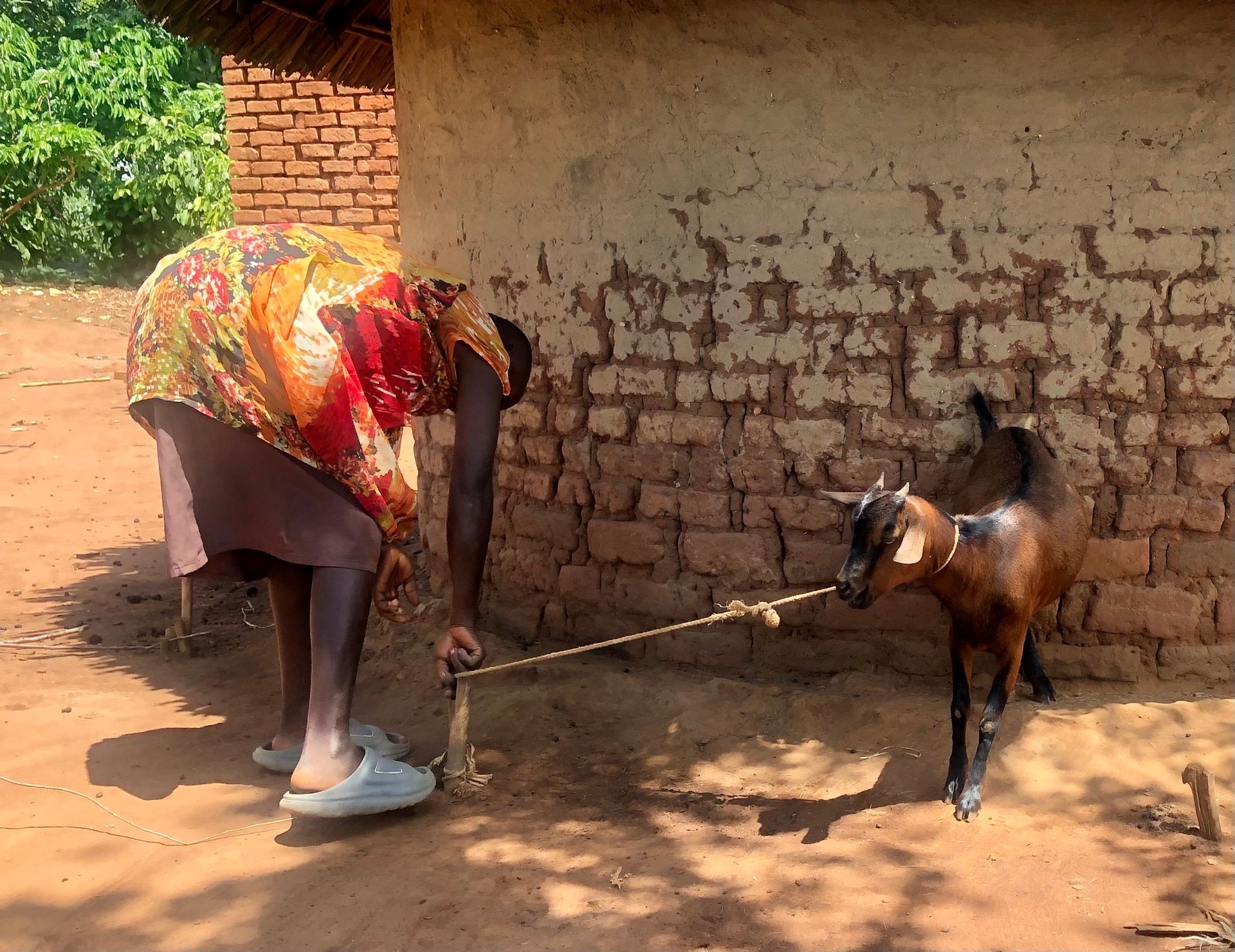 Empowering Young Mothers, One Goat at a Time